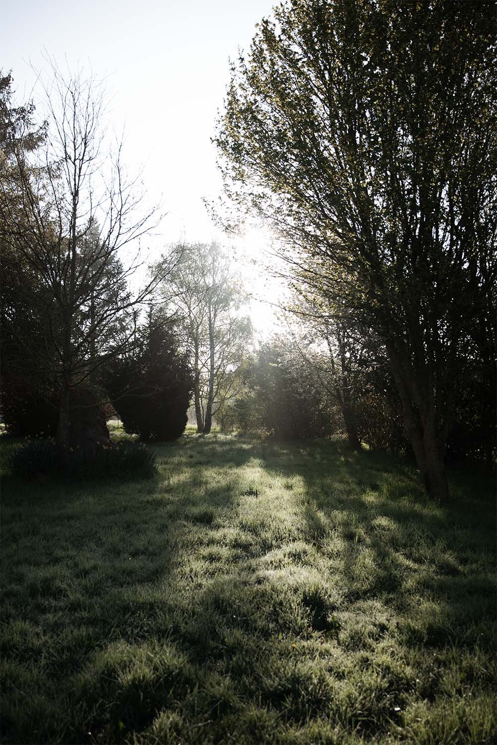 Jardin du Bois Sacré