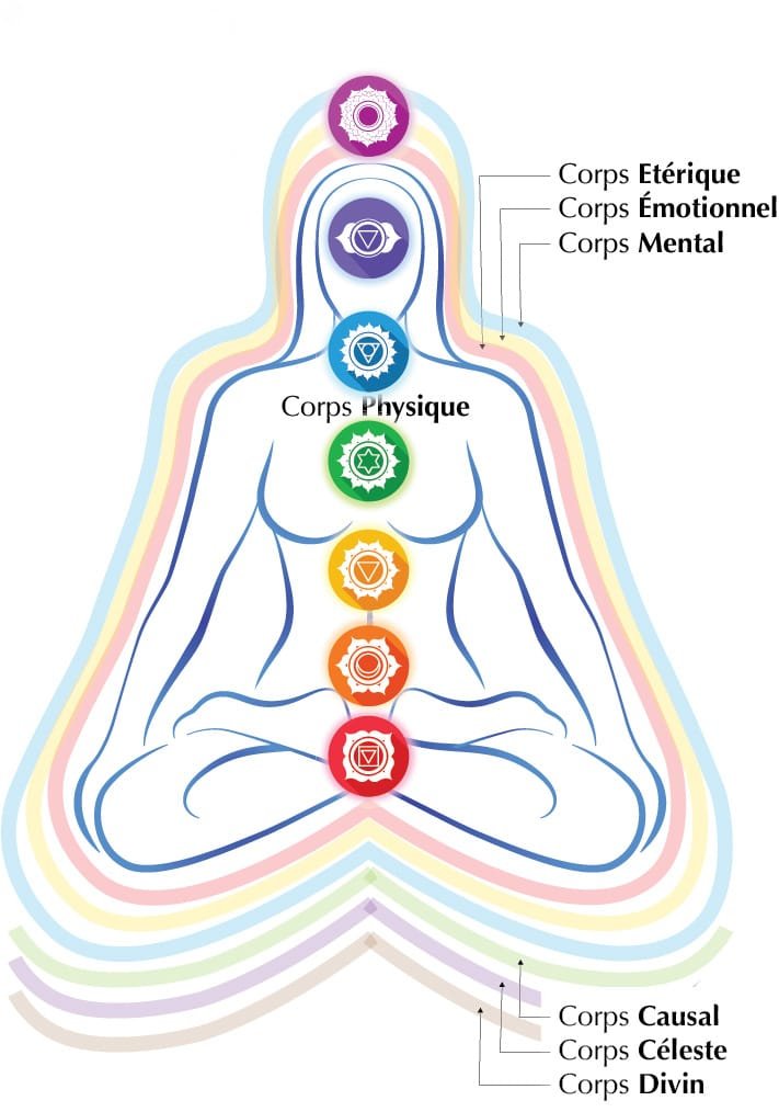 Carte des 7 corps et des 7 chakras