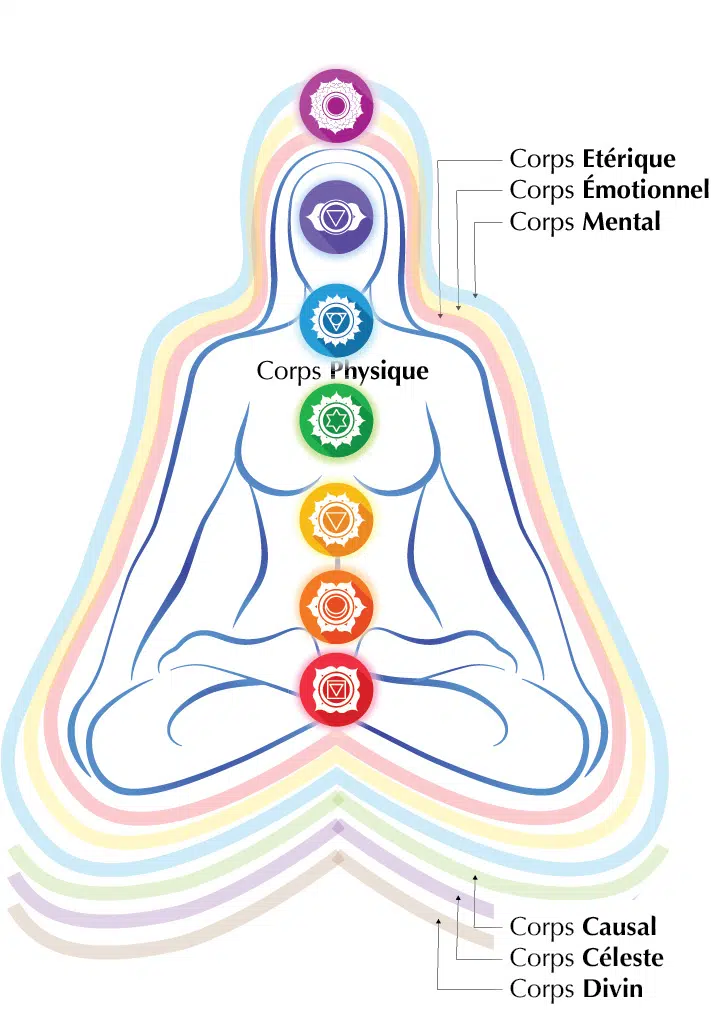 Carte des 7 corps et des 7 chakras