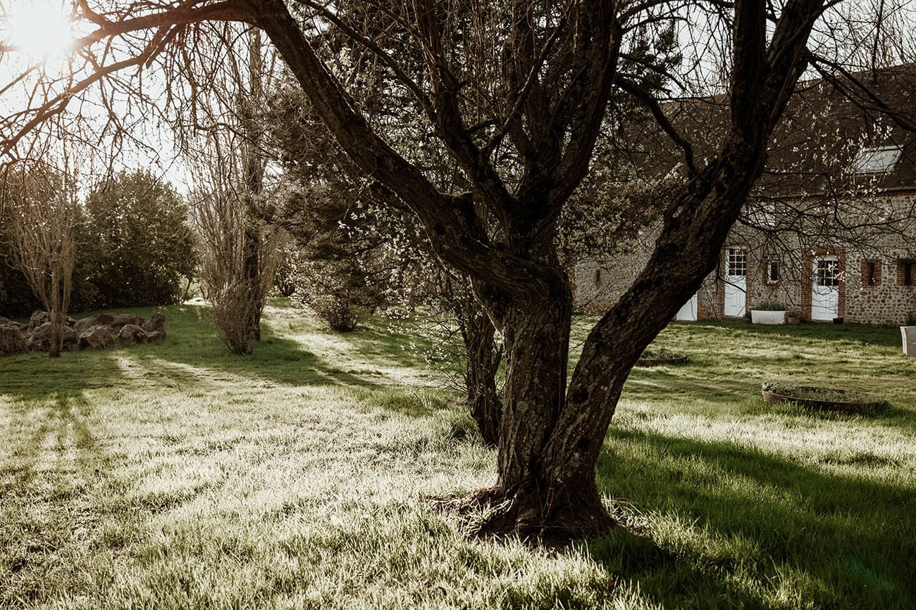 Le jardin du Bois Sacré, soleil couchant