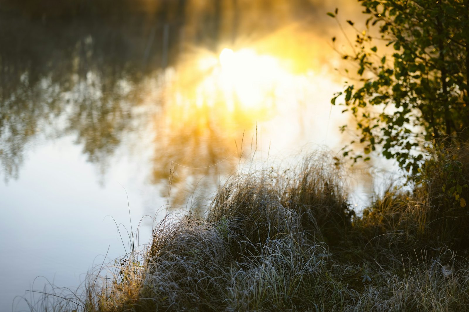 plan d'eau, le Perche